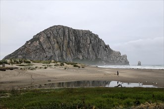 Morro Rock, 576m high, beach near Morro Bay, Pacific Ocean, California, USA, North America