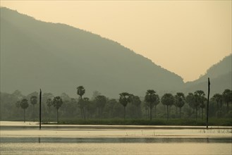 Maddigedda Reservoir, reservoir near Addateegala, Andhra Pradesh, Indiareservoir, palm trees