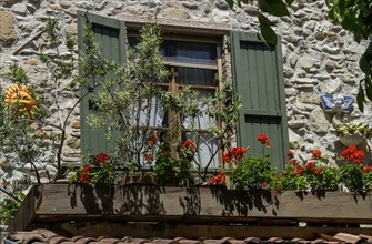 Window with green shutters and flower box with geraniums and olive trees, Lake Garda, Sirmione,