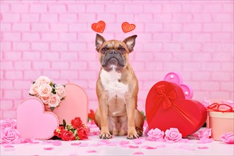 French Bulldog dog with Valentine's Day heart headbands surrounded by pink and red seasonal
