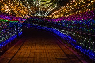 Night photo of tunnel made up of small red, blue, green and white Christmas lights in South Korea