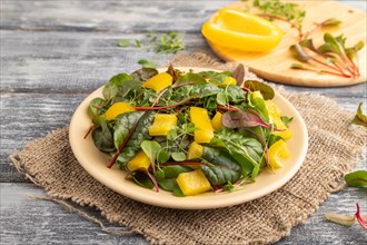 Vegetarian vegetables salad of yellow pepper, beet microgreen sprouts on gray wooden background and