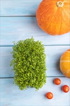 Microgreen sprouts of watercress with pumpkin on blue wooden background. Top view, flat lay, close