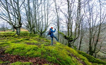 A very happy hiker man in a beech forest in the mountains. Liberty sensation