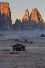 Hut on alp in front of steep mountains in the morning light, hoarfrost, Alpe di Siusi, behind