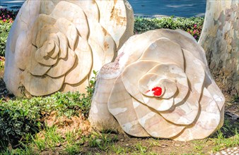 Flowers made of carved stone beside tree in public park in Istanbul, Tuerkiye