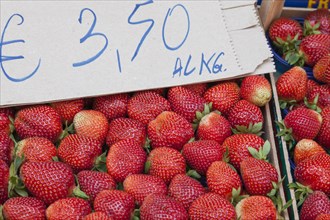 Strawberries, weekly market market, Catania, Sicily, Italy, Europe