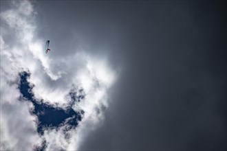 Paraglider in front of a threatening cloud, Corvara, Dolomites, Italy, Europe
