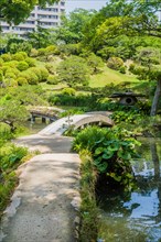 Landscape of series of bridges over lake at Shukkeien Gardens in Hiroshima, Japan, Asia