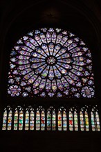 Notre-Dame de Paris Cathedral The southern rose window Paris France