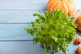 Microgreen sprouts of lettuce with pumpkin on blue wooden background. Side view, copy space, close