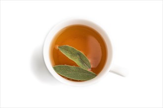 Cup of green herbal tea isolated on white background. Top view, flat lay, close up