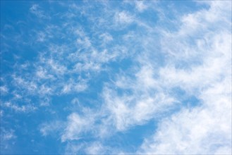 A field of airy, white cirrucumulus clouds, small fleecy clouds cover the blue sky, spring, summer,