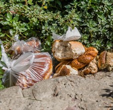Various types of discarded bread in laying in bushes in Istanbul, Tuerkiye