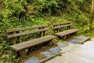 Two wooden park benches beside concrete hiking trail in recreational forest in South Korea