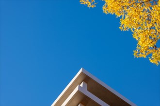 Corner Shape of a Modern Design Building Against Clear Blue Sky and Autumn Trees in a Sunny Day in