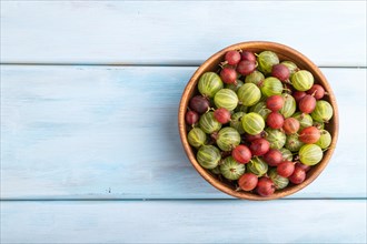 Fresh red and green gooseberry in wooden bowl on blue wooden background. top view, flat lay, copy