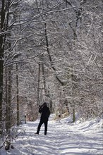 Saxon Switzerland, Winter walk, Saxony, Germany, Europe