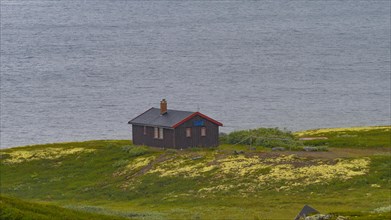Shot of a hut at Soenstevatn in the rain, landscape format, inland waters, log cabin, holiday home,
