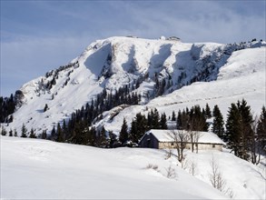 Winter atmosphere, snow-covered landscape, Schafbergalm, behind the Schafberg, near St. Wolfgang am
