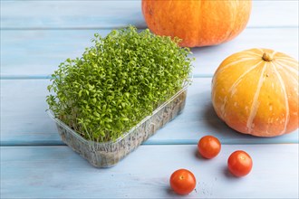 Microgreen sprouts of watercress with pumpkin on blue wooden background. Side view, close up