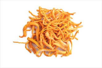Fresh Cordyceps militaris mushrooms isolated on white background. Top view, flat lay, copy space