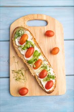 Long white bread sandwich with cream cheese, tomatoes and microgreen on blue wooden background. top