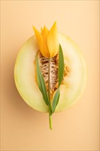 Sliced ripe yellow melon and tulip flower on orange pastel background. Top view, flat lay, close up