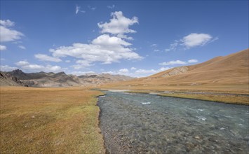 Hills with yellow meadows and river Kol Suu, hike to the mountain lake Kol Suu, Tien Shan, Naryn