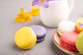 Multicolored macaroons with spring snowdrop crocus flowers on gray pastel background. side view,