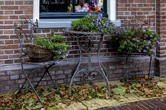 Flower decoration in front of a house, Oosterend, North Sea island Texel, North Holland,