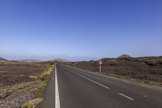 Road through lava fields, volcanic landscape, Lanzarote, Canary Islands, Canary Islands, Spain,