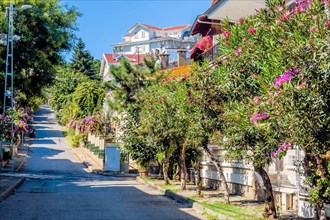 Quiet street lined with flowers and lush foliage on sunny afternoon on Princess Island in Turkey