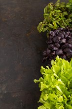 Set of boxes with microgreen sprouts of purple basil, sorrel, lettuce on black concrete background.