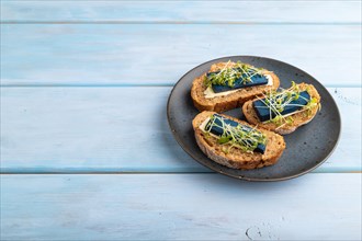 Bread sandwiches with blue lavender cheese and mustard microgreen on blue wooden background. side