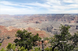 View of the Grand Canyon, Arizona, USA, North America