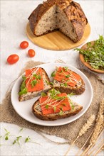 Grain bread sandwiches with red tomato cheese and mizuna cabbage microgreen on gray concrete