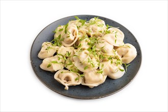 Dumplings with pepper, salt, herbs, microgreen isolated on white background. Side view, close up