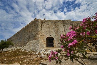 Stone fortress wall with blooming oleander in the foreground, Chlemoutsi, high medieval crusader