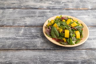 Vegetarian vegetables salad of yellow pepper, beet microgreen sprouts on gray wooden background.