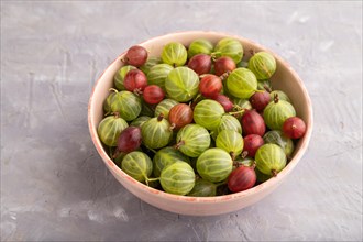 Fresh red and green gooseberry in ceramic bowl on gray concrete background. side view, close up