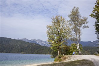 Eibsee lake with Ammergau Alps and hiking trail in autumn, Grainau, Werdenfelser Land, Upper
