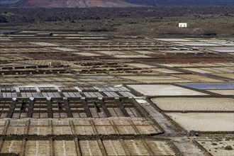 Sea salt extraction, Janubio salt works, Salinas de Janubio, Lanzarote, Canary Islands, Spain,