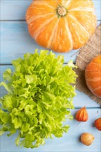 Microgreen sprouts of lettuce with pumpkin on blue wooden background. Top view, flat lay, close up