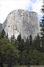 El Capitan, 980m high monolith, Yosemite National Park, California, USA, North America