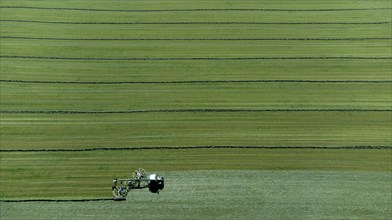 Farmer cutting grass to straight rows with tractor and large roundabout rake, drone shot, Upper