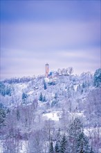 View of the Fuchsturm on the Kernberge in winter with snow, Jena, Thuringia, Germany, Europe
