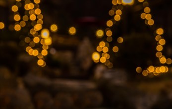 Out of focus image of yellow Christmas lights on outside evergreen trees in South Korea