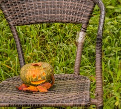 Jack-O-Lantern with leaves on chair in public park in South Korea