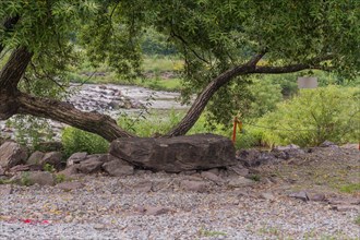 Large boulder placed under tree as bench for tourists to rest with river in background in South